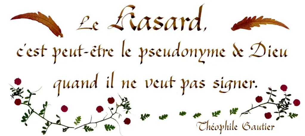 Carte série 'Citations - Divers' - Le hasard c'est peut-être...' - 10,5x21cm + envel.