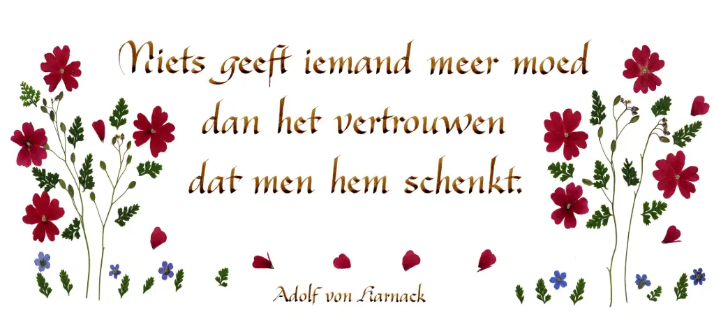 Carte série 'Citations - NL - 'Niets geeft iemand meer moed...' - 10,5x21cm + envel.