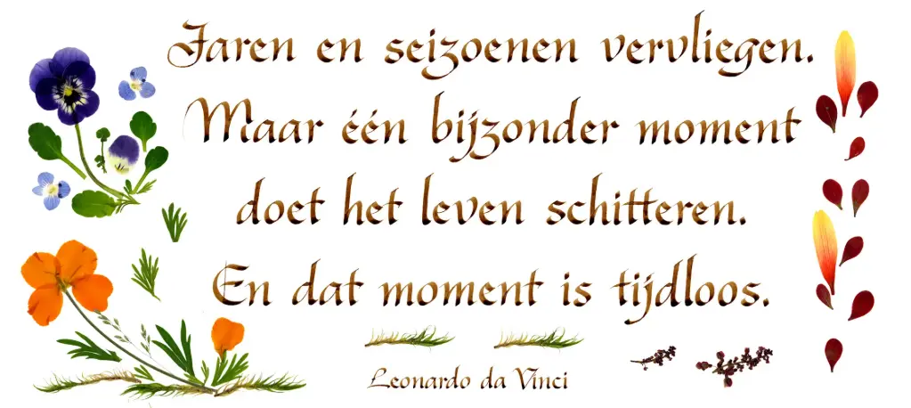 Carte série 'Citations - NL - 'Jaren en seizoenen vervliegen...' - 10,5x21cm + envel.