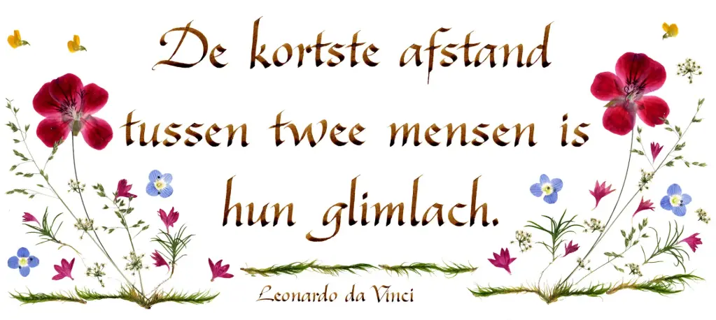 Carte série 'Citations - NL - 'De kortste afstand...' - 10,5x21cm + envel.
