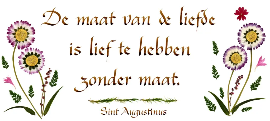 Kaart serie 'Citations - NL - 'De maat van de liefde...' - 10,5x21cm + envel.