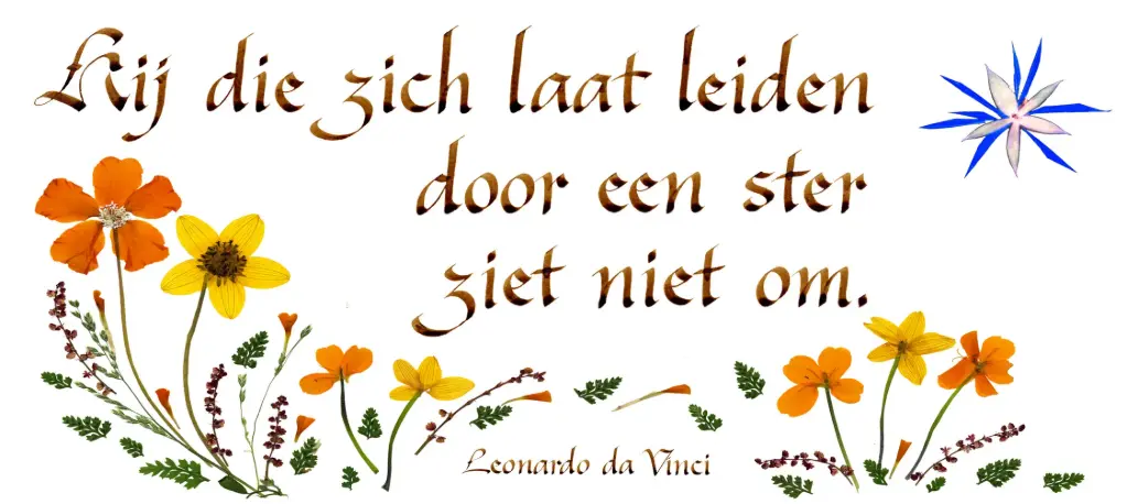 Carte série 'Citations - NL - 'Hij die zich laat leiden..' - 10,5x21cm + envel.