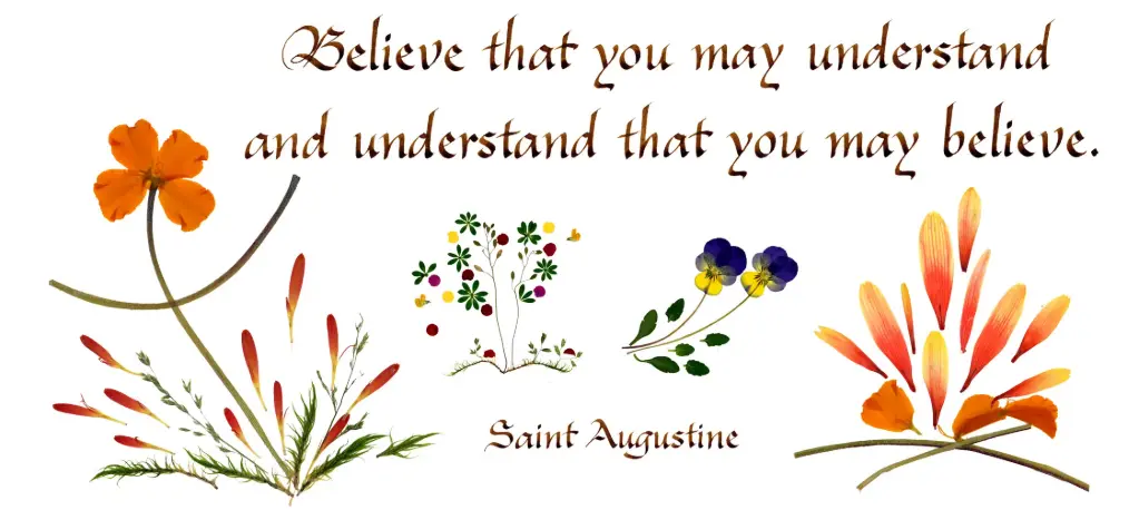 Kaart serie 'Citations - GB - 'Believe that you may understand...' - 10,5x21cm + envel.