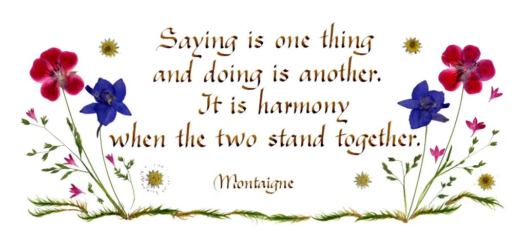 Carte série 'Citations - GB - 'Saying is one thing...' - 10,5x21cm + envel.