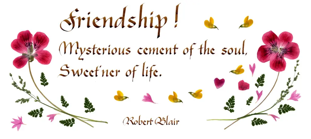 Kaart serie 'Citations - GB - 'Friendship! ...' - 10,5x21cm + envel.