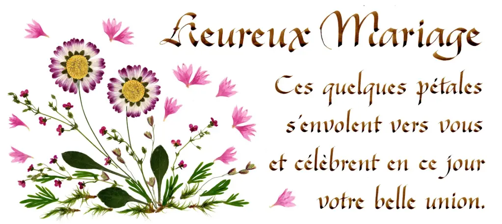Kaart serie 'Citations - Le Mariage' - 'Ces quelques pétales...' - 10,5x21cm + envel.