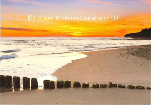 [CRT-21CS235] Kaart - 10x15cm - Merci pour le moment passé avec...