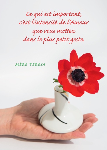 [CRT-21CS263] Carte simple - 10x15cm - Mère Térèsa 'Ce qui est important .