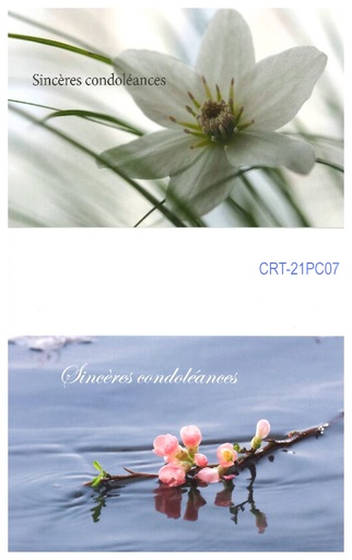 [CRT-21PC7] Pochette Sincères Condoléances - 2x3 kaarten met omslag