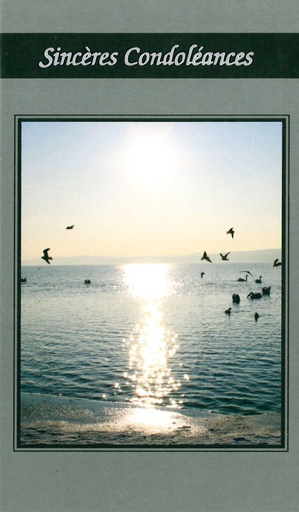 [CRT-50CON144] Wenskaart Sincères condoléances - 9,5x16cm/cello+omslag