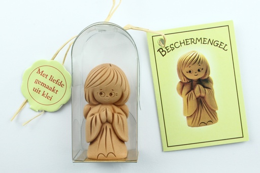 [ENG-018990NL] Schutzengel stehend in cello - Hollandischem Tekst