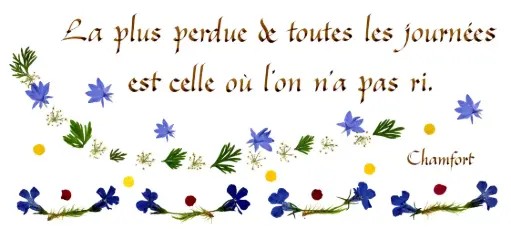 [PDO-00CFR008] Carte série 'Citations - La Vie - 'La plus perdue de ...' - 10,5x21cm + envel.