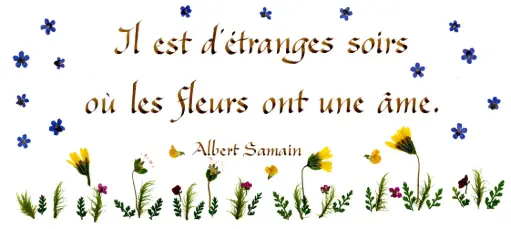 [PDO-00CFR072] Carte série 'Citations - Divers' - 'Il est d'étranges soirs...' - 10,5x21cm + envel.