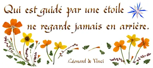 [PDO-00CFR104] Carte série 'Citations - Divers' - 'Qui est guidé par...' - 10,5x21cm + envel.