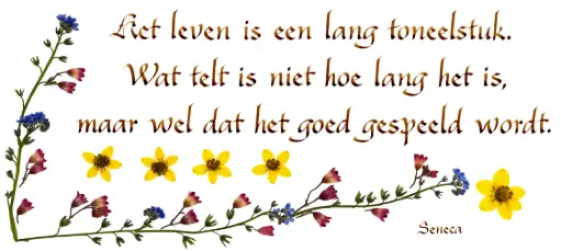 [PDO-00CNL003] Carte série 'Citations - NL - 'Het leven is een lang toneelstuk...' - 10,5x21cm + envel.