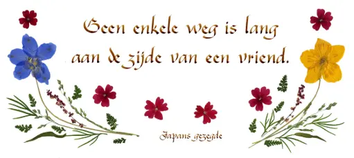 [PDO-00CNL018] Kaart serie 'Citations - NL - 'Geen enkele weg is lang...' - 10,5x21cm + envel.