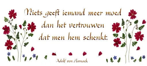 [PDO-00CNL034] Carte série 'Citations - NL - 'Niets geeft iemand meer moed...' - 10,5x21cm + envel.