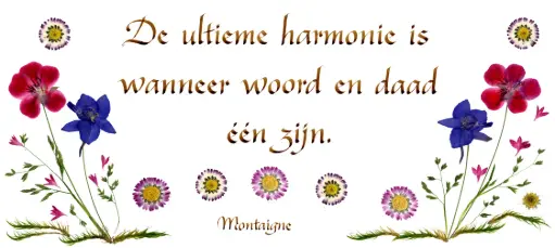 [PDO-00CNL038] Carte série 'Citations - NL - 'De ultieme harmonie...' - 10,5x21cm + envel.
