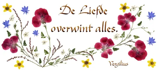 [PDO-00CNL075] Kaart serie 'Citations - NL - 'De liefde overwint alles' - 10,5x21cm + envel.