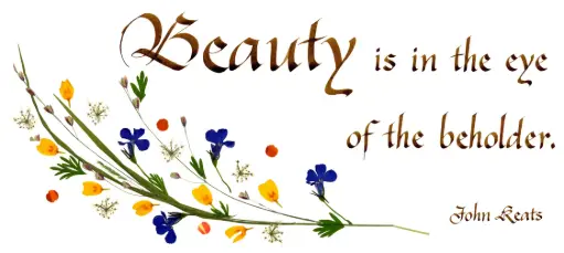 [PDO-00CGB006] Carte série 'Citations - GB - 'Beauty is in the eye...' - 10,5x21cm + envel.
