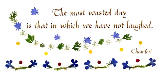 [PDO-00CGB008] Kaart serie 'Citations - GB - 'The most wasted day...' - 10,5x21cm + envel.