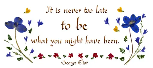 [PDO-00CGB127] Kaart serie 'Citations - GB - 'It is never too late...' - 10,5x21cm + envel.
