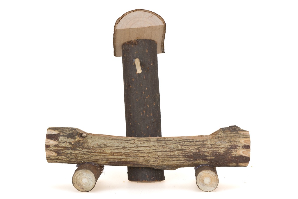 Auge - tronc (14x17x13cm)