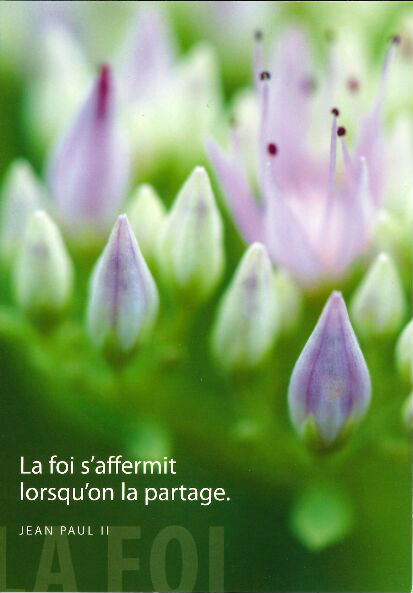 Kaart - 10x15cm - La foi s'affermit...
