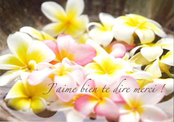 Carte simple J'aime bien te dire - CS143