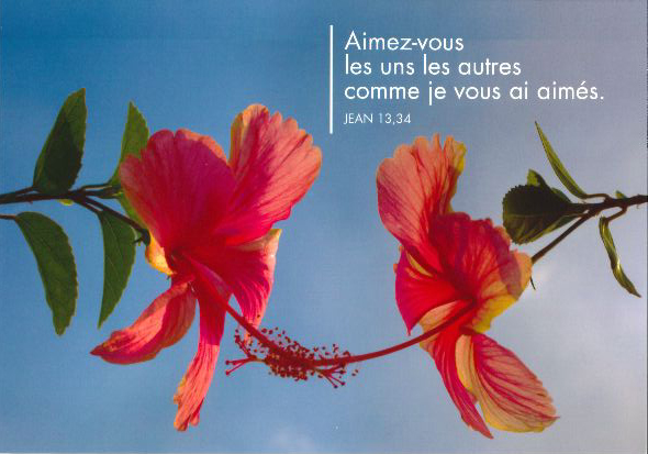 Carte simple - 10x15cm - Aimez-vous les uns...