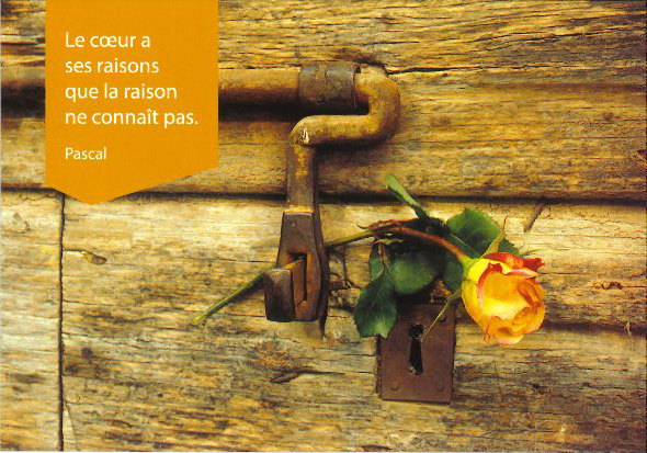Kaart - 10x15cm - Le coeur a ses raisons...