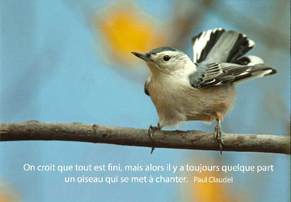 Kaart - 10x15cm - On croit que...