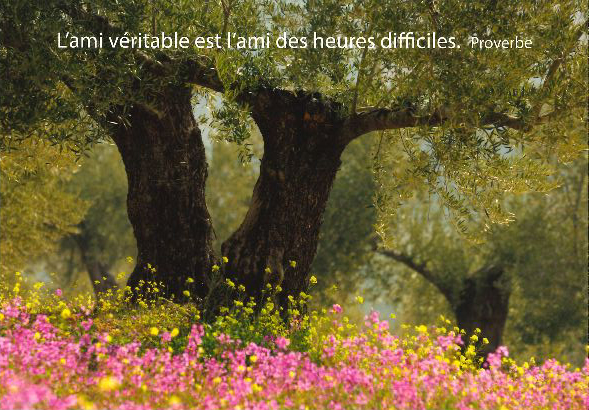 Kaart - 10x15cm - L'ami véritable...
