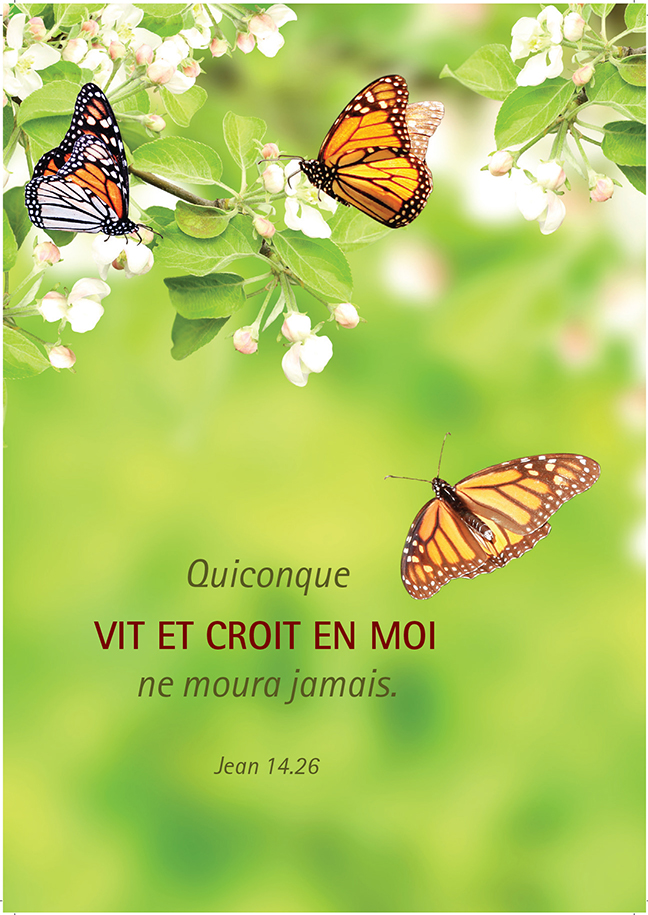 Carte simple 10,5x15cm - Quiconque qui vit et croit ...
