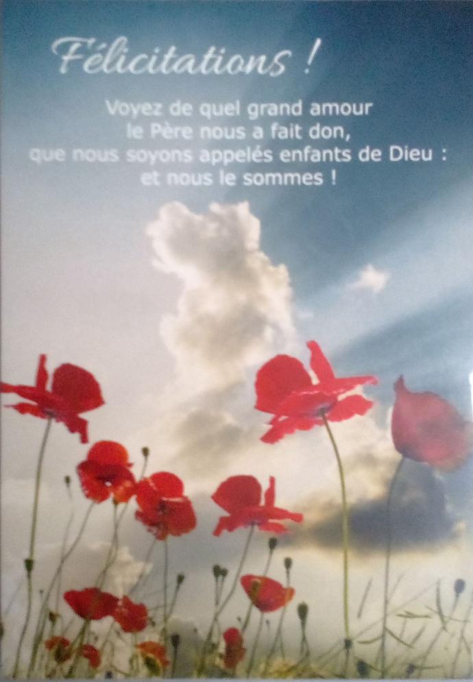 Kaart - 10x15cm - Félicitations, Voyez de quel ...