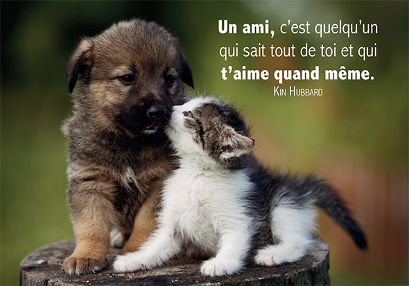 Carte simple 10.5x15cm - Un ami c'est quelqu'un