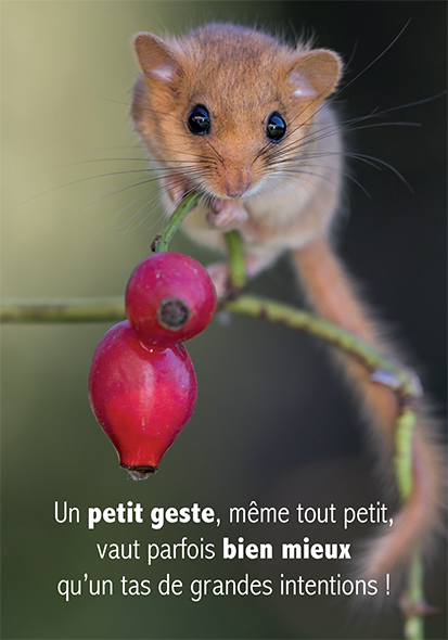 Kaart 10,5x15cm - Un petit geste, mˆme tout