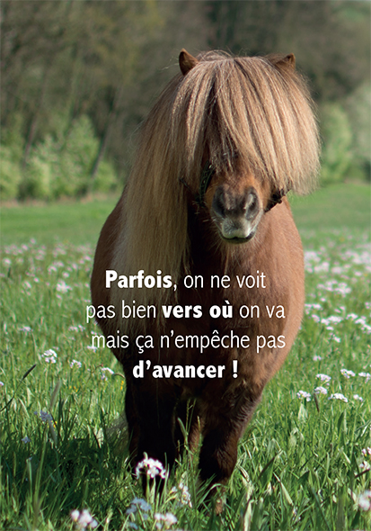 Kaart 10,5x15cm - Parfois, on ne voit