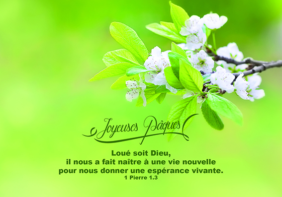 Kaart 10,5x15cm - Joyeuses Pâques Loué