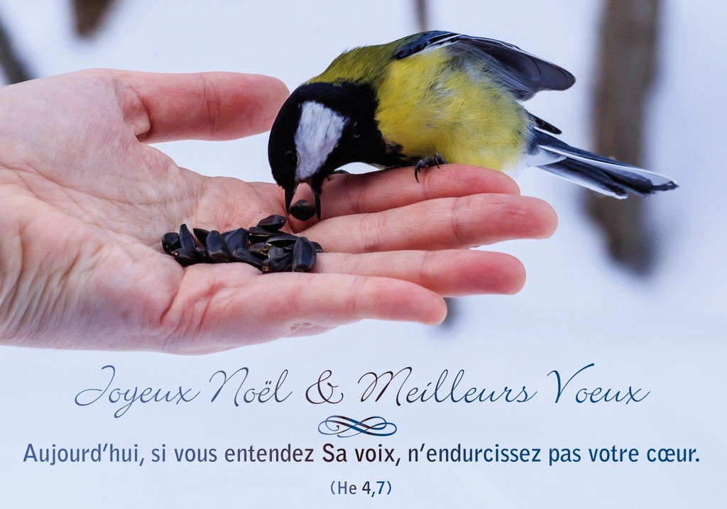 Carte simple Noël - 10,5x15cm - Joyeux Noël et meilleures...