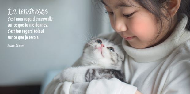 Kaart panor. 10,5x21cm + enveloppe - La tendresse