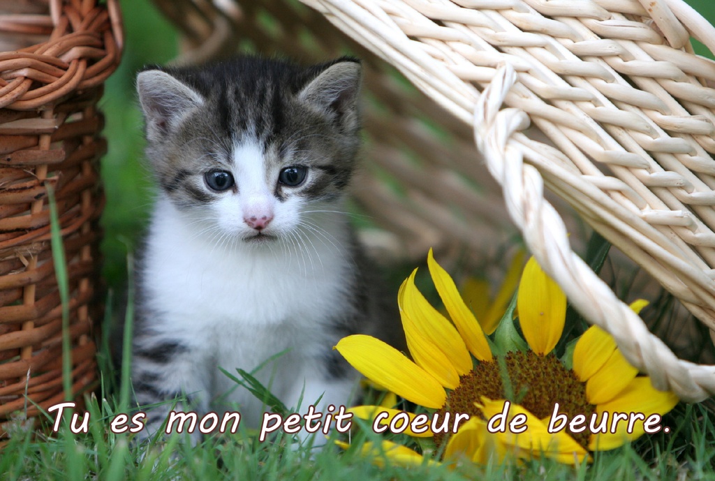 Postkarte 10x15cm - Motiv UK-91604 Text 7
