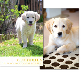 Box met 10 prentkaarten 9x14cm/omslagen - 2 motieven/L.Smith