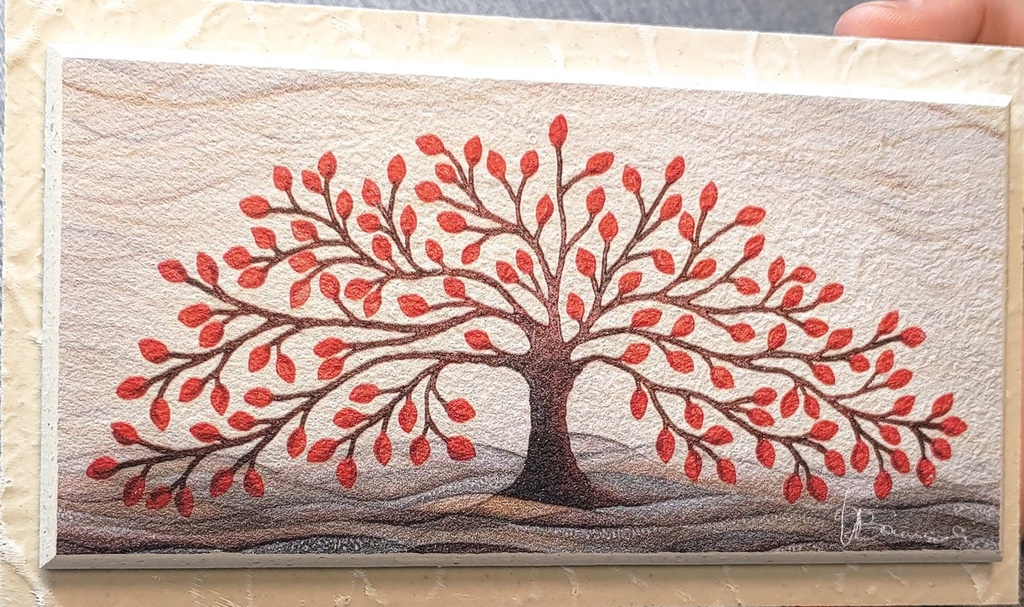 PC211001RO CADRE SERIGRAPHIE 21*11CM