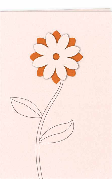 CARTE DOUBLE FLEUR ORANGE