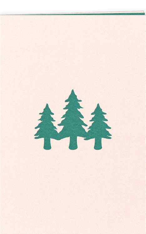 LUCARNE SAPIN