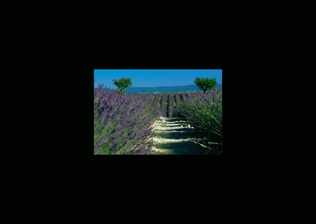 CARTES SIMPLES LES PETITS CADRES PROVENCAUX