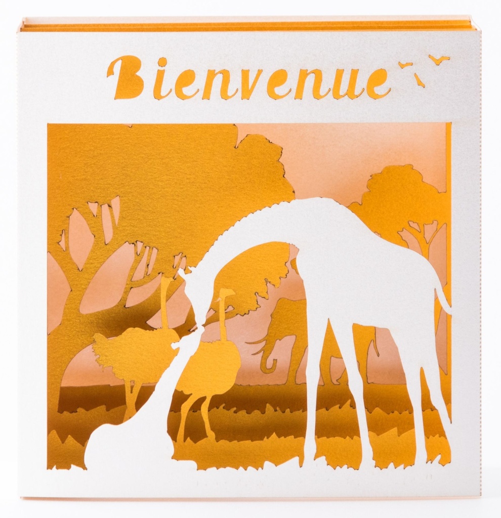 GIRAFE