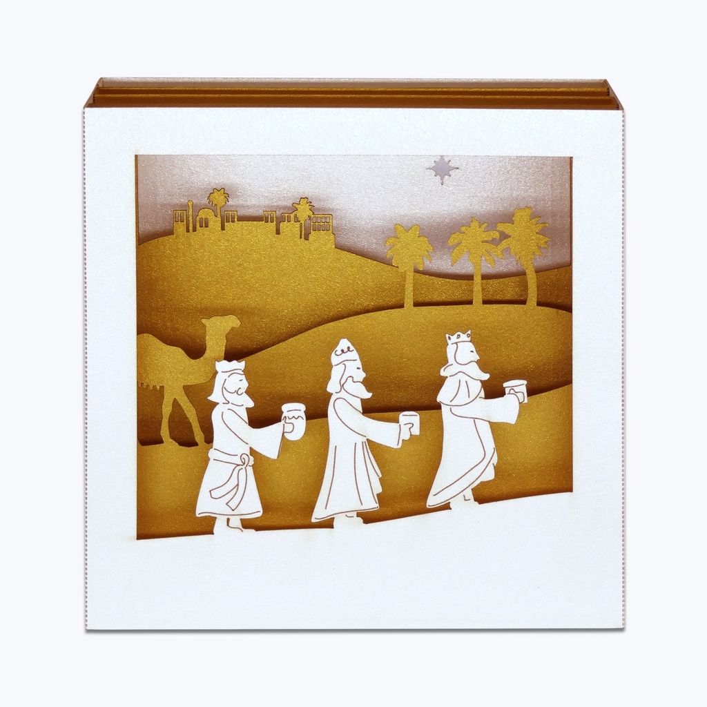 ROIS MAGES