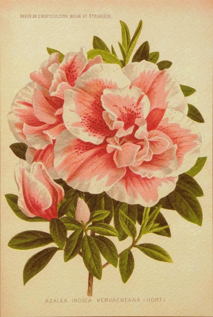 CARTE DOUBLE 12*17 CM